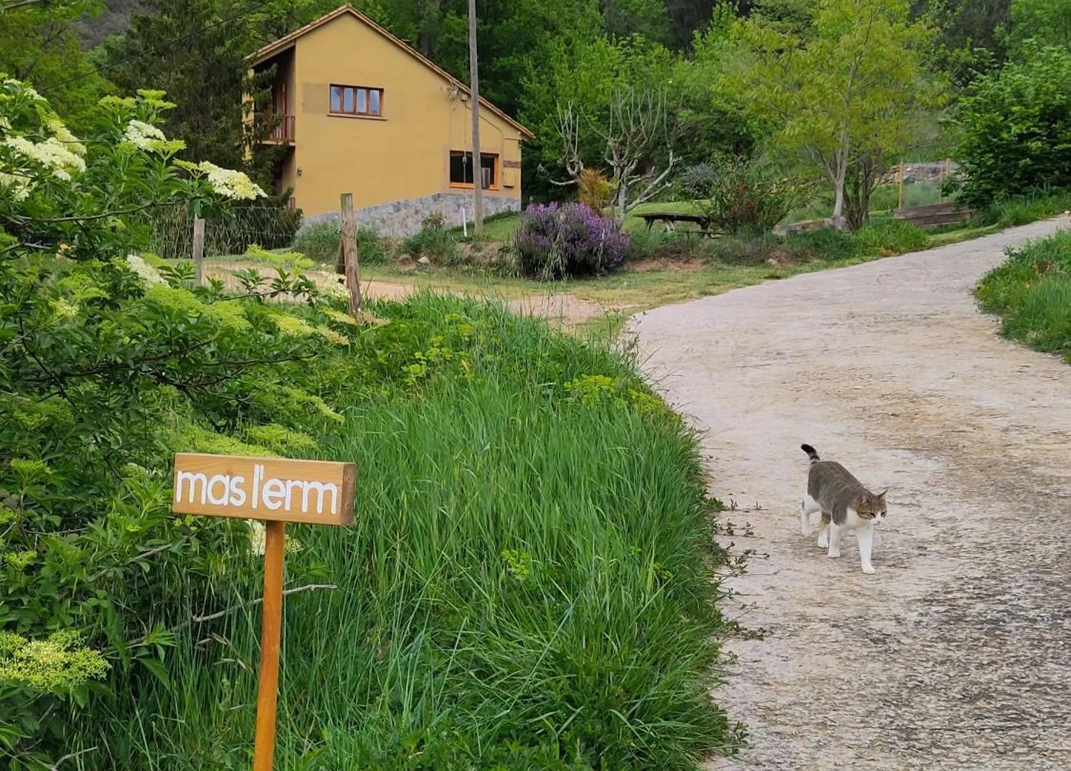 Apartament A Mas L'Erm ジローナ
